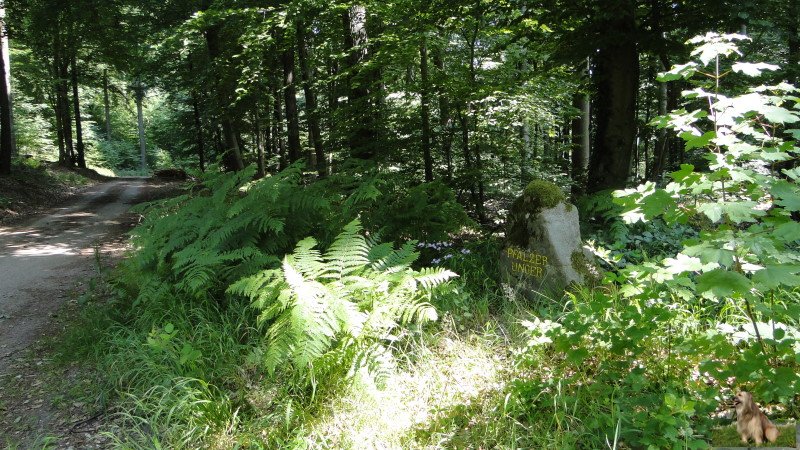 Ritterstein Nr. 019-6c Pfälzer Unger.JPG - Ritterstein Nr.19 Pfälzer Unger